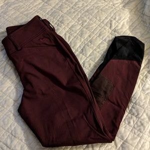 RJ Classics gluf merlot breeches 24R